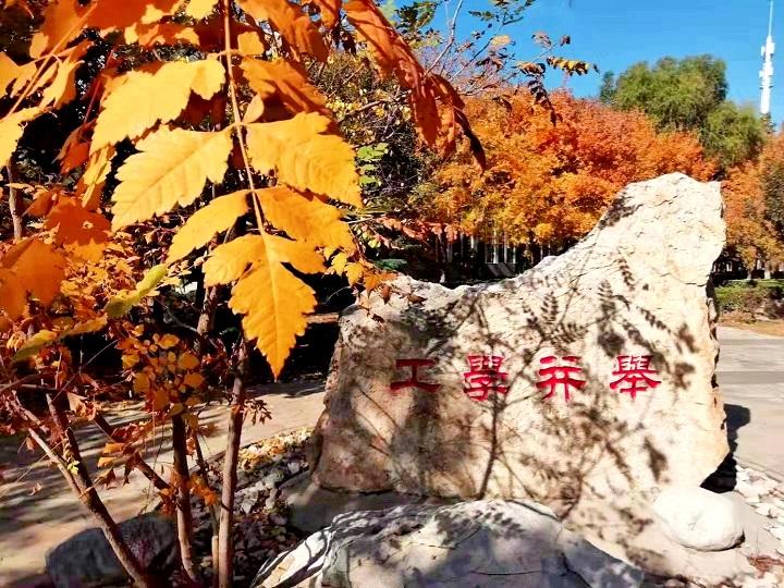 娱乐城app